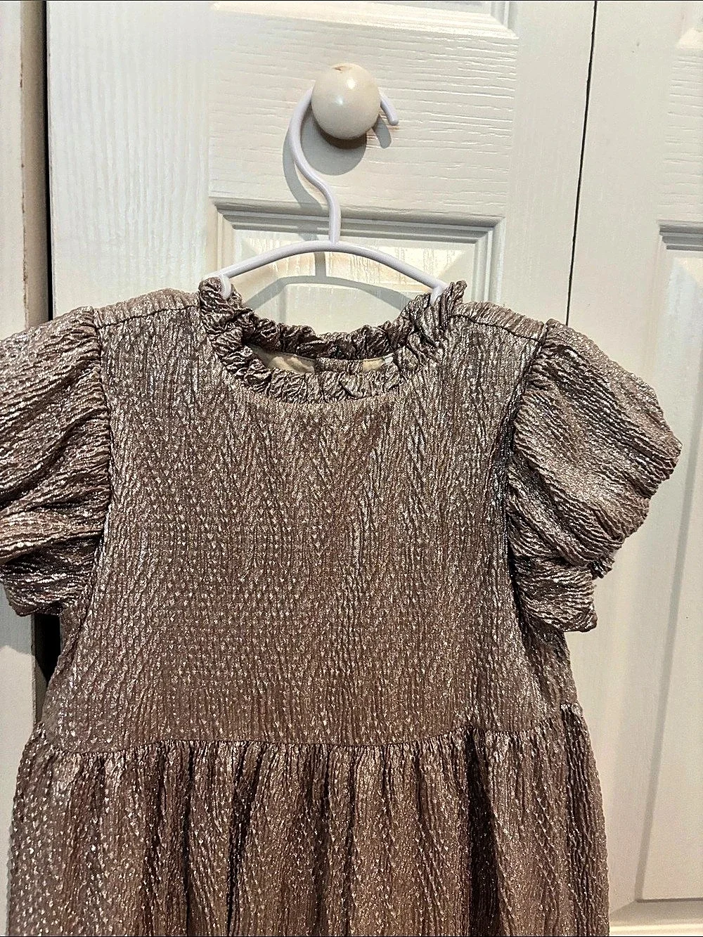 Kids' Shimmer Ruffle Sleeve Dress 8t